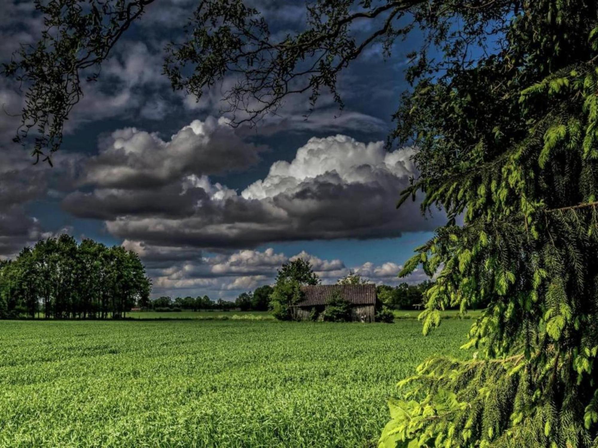 Willa Monumental Farm In The Ash Landscape Geesteren  Zewnętrze zdjęcie